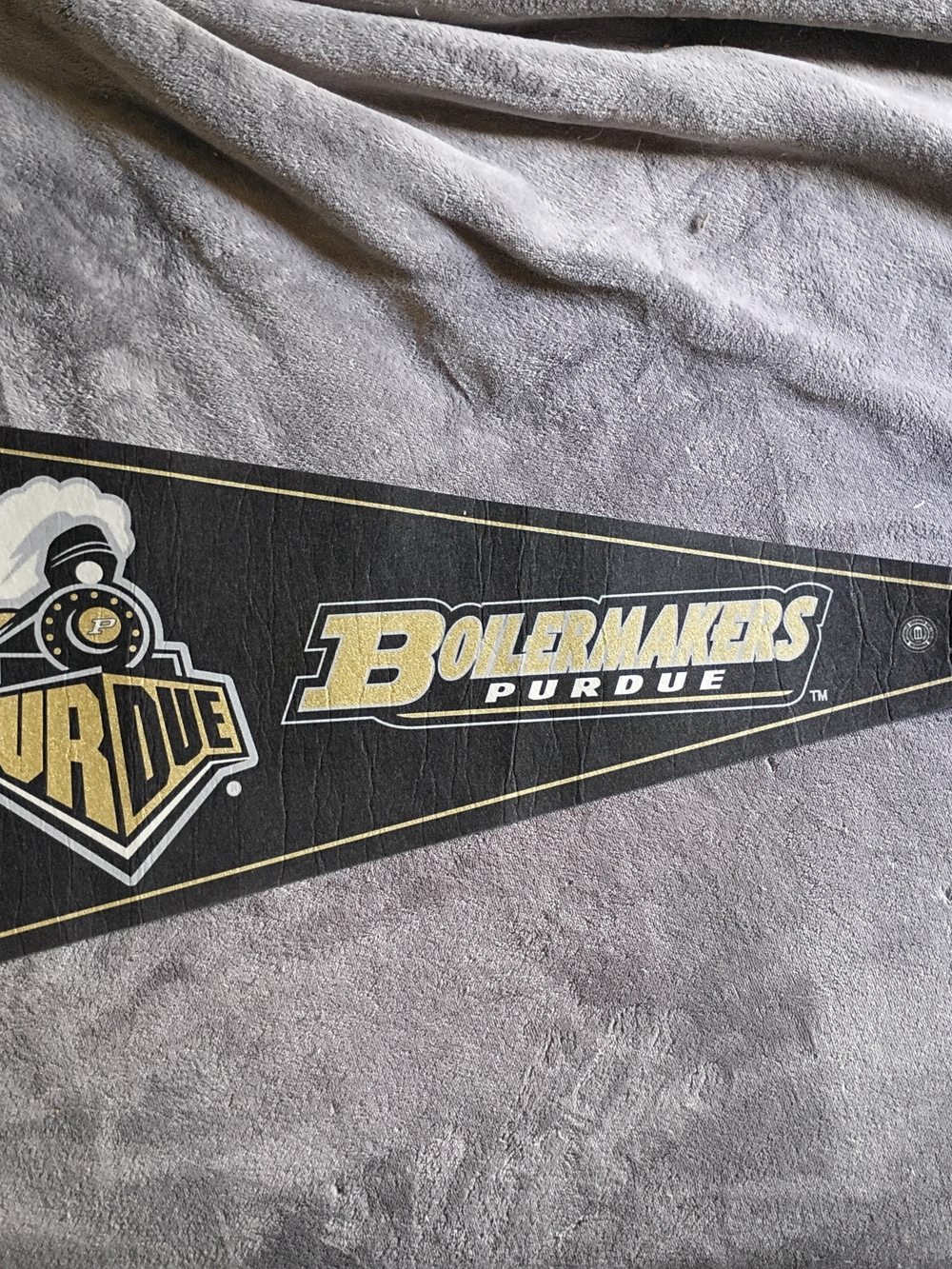 Wincraft Purdue Boilermakers Black and Gold Pennant